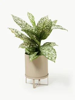 Bloempot Bau met gegroefd oppervlak, H 38 cm^ferm LIVING Discount