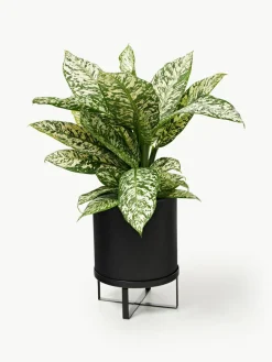 Bloempot Bau met gegroefd oppervlak, H 38 cm^ferm LIVING New