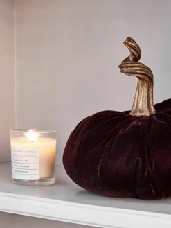 Decoratieve pompoen Pumpis, Ø 22 cm^Jotex Discount