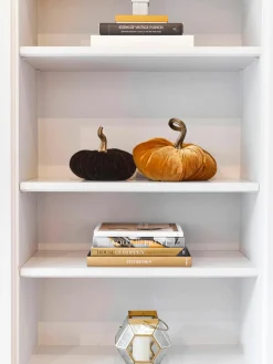 Decoratieve pompoen Pumpis, Ø 24 cm^Jotex Discount