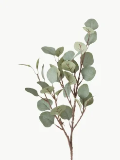 Decoratieve tak Eukalyptus^Westwing Discount