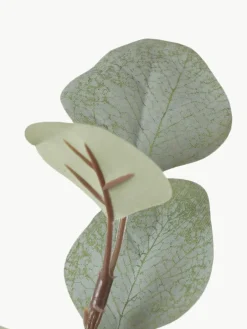 Decoratieve tak Eukalyptus^Westwing Discount