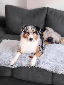 Dierendeken Fluffy uit teddy, in verschillende maten^Wahre Tierliebe New