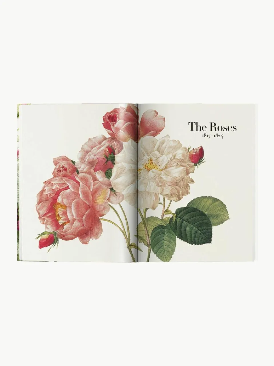 Geïllustreerd boek Book of Flowers^Westwing Clearance