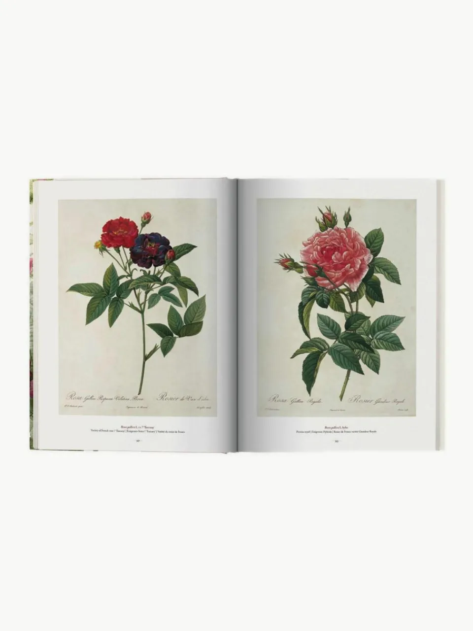 Geïllustreerd boek Book of Flowers^Westwing Clearance