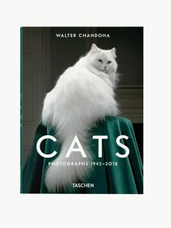 Geïllustreerd boek Cats. Photographs 1942–2018^Westwing New
