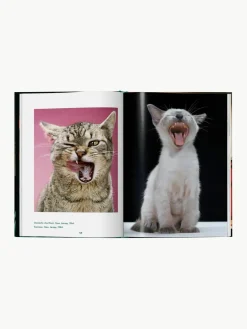 Geïllustreerd boek Cats. Photographs 1942–2018^Westwing New