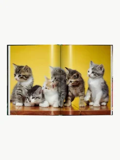 Geïllustreerd boek Cats. Photographs 1942–2018^Westwing New
