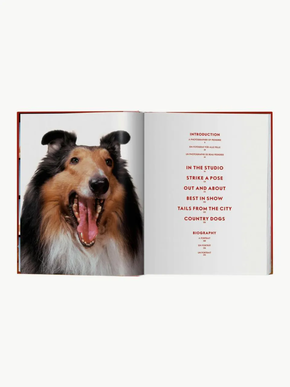 Geïllustreerd boek Dogs Photographs 1941–1991^Westwing New