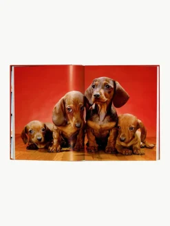 Geïllustreerd boek Dogs Photographs 1941–1991^Westwing New