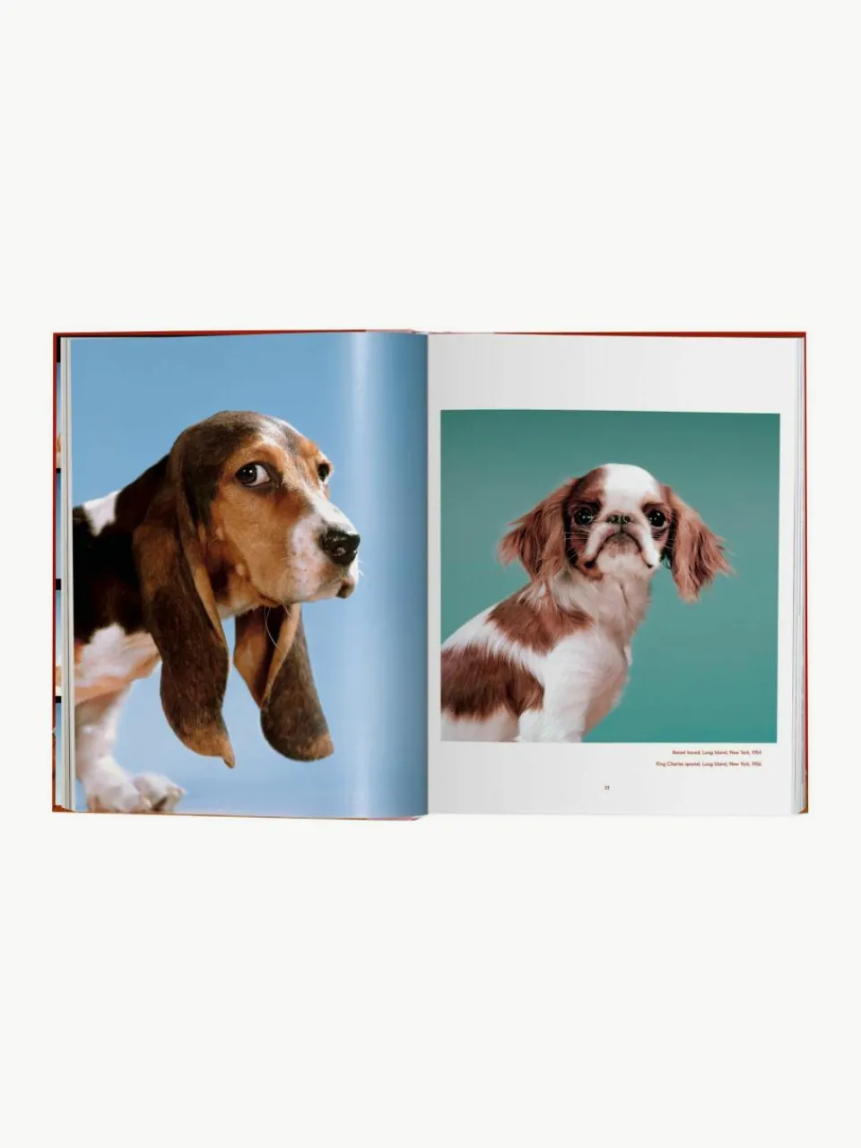 Geïllustreerd boek Dogs Photographs 1941–1991^Westwing New