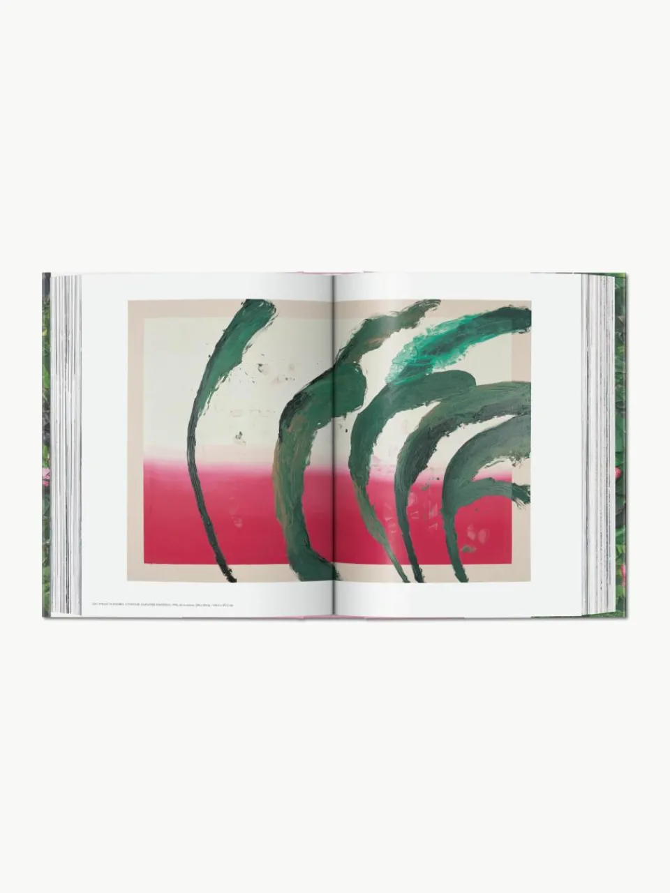 Geïllustreerd boek Julian Schnabel^Westwing Hot