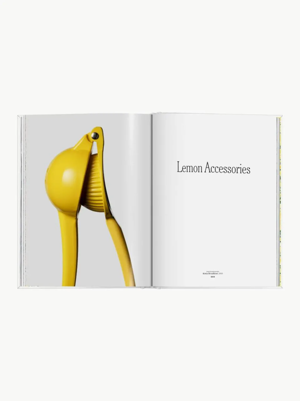 Geïllustreerd boek The Gourmand's Lemon. A Collection of Stories and Recipes^Westwing Clearance