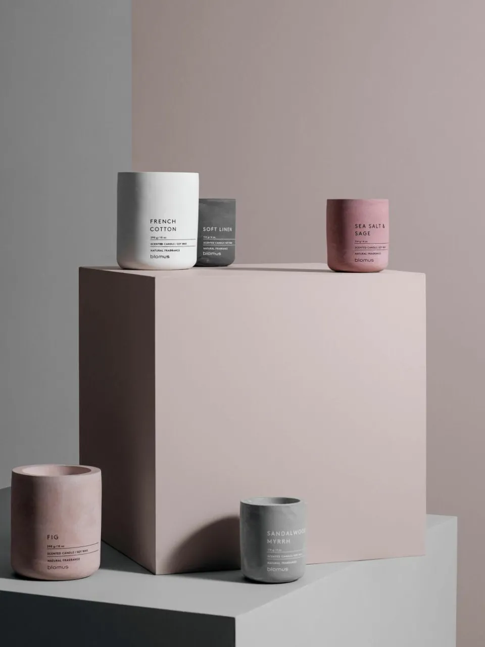 Geurkaars Fraga^blomus New