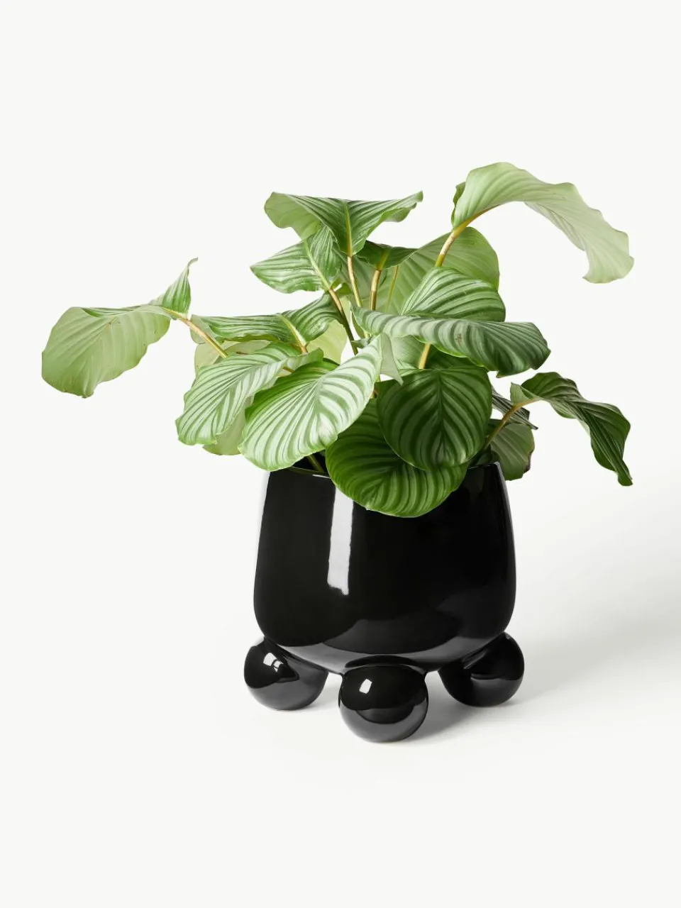 Grote plantenpot Olea, H 32 cm^Westwing Collection Sale