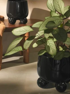 Grote plantenpot Olea, H 32 cm^Westwing Collection Sale