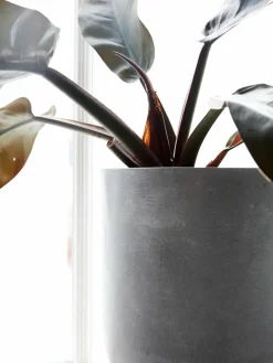 Grote plantenpotten Gard van beton, set van 3^House Doctor Discount