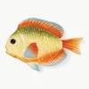 Handbeschilderde serveerplateau Fish van dolomiet^&k Amsterdam Sale