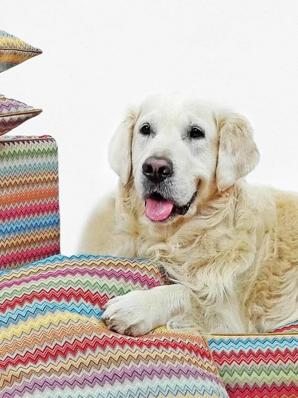 Handgemaakt hondenbed Zik Zak No. 2^Dandy Dog Online