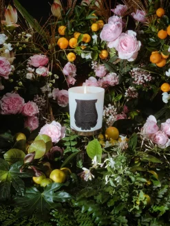 Handgemaakte geurkaars Rose Poivrée^Trudon Online