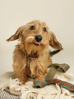 Handgemaakte hondenleiband Etna^Buddys Dogwear Outlet