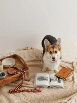 Handgemaakte hondenleiband Peruvian Arrow^Buddys Dogwear Outlet