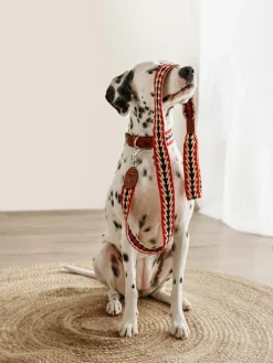 Handgemaakte hondenleiband Peruvian Arrow^Buddys Dogwear Outlet