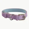Hondenhalsband Inu^Jotex Outlet