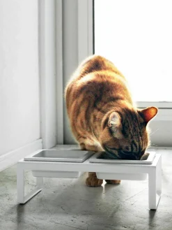 Huisdierenbakjes Tower met standaard^Yamazaki Fashion