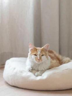 Kattenmand Donut^Hoopo Online