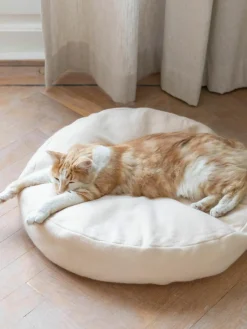 Kattenmand Donut^Hoopo Online