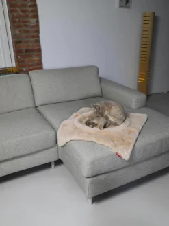 Kattenmand Flip^Hoopo Clearance