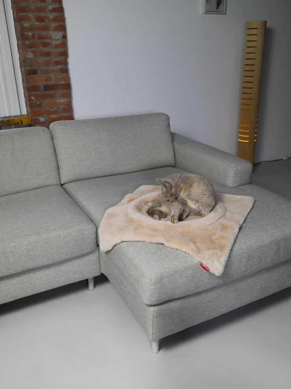 Kattenmand Flip^Hoopo Clearance