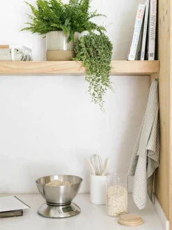Keukengereiset Botta, set van 5^ANDREA HOUSE Sale