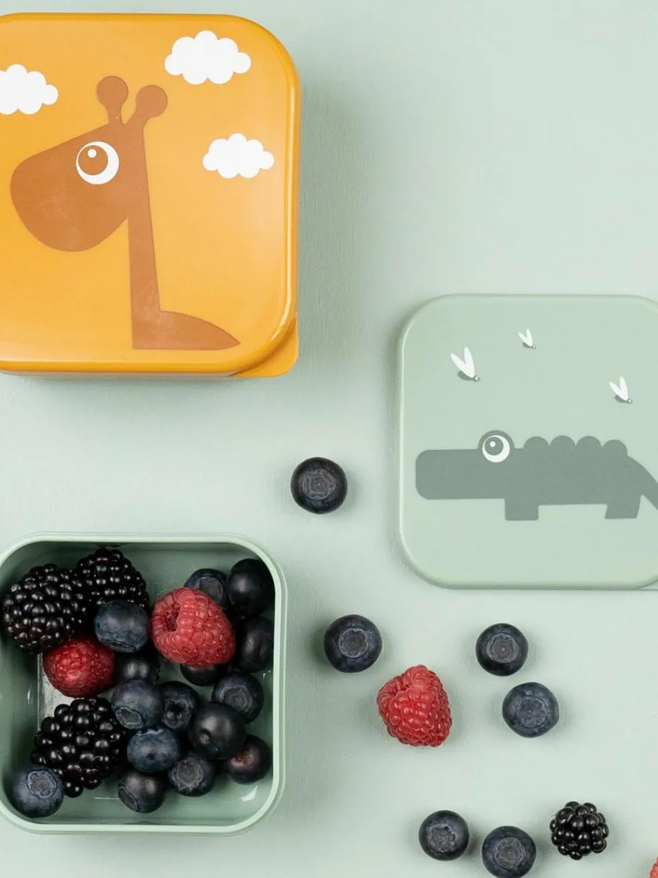 Kinderlunchbox Deer Friends, set van 3^Done by Deer New