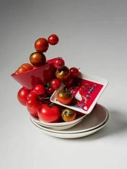 Kleine serveerplateau Taika van vitroporselein^iittala Best