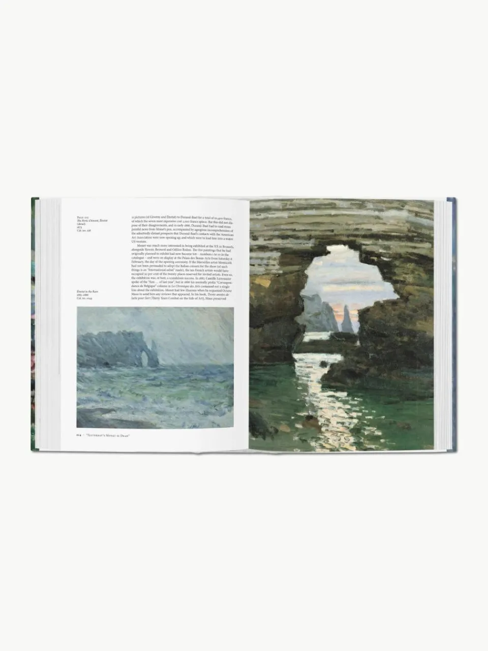 Kunstboek Monet. Het triumph van het impressionisme^Westwing Sale