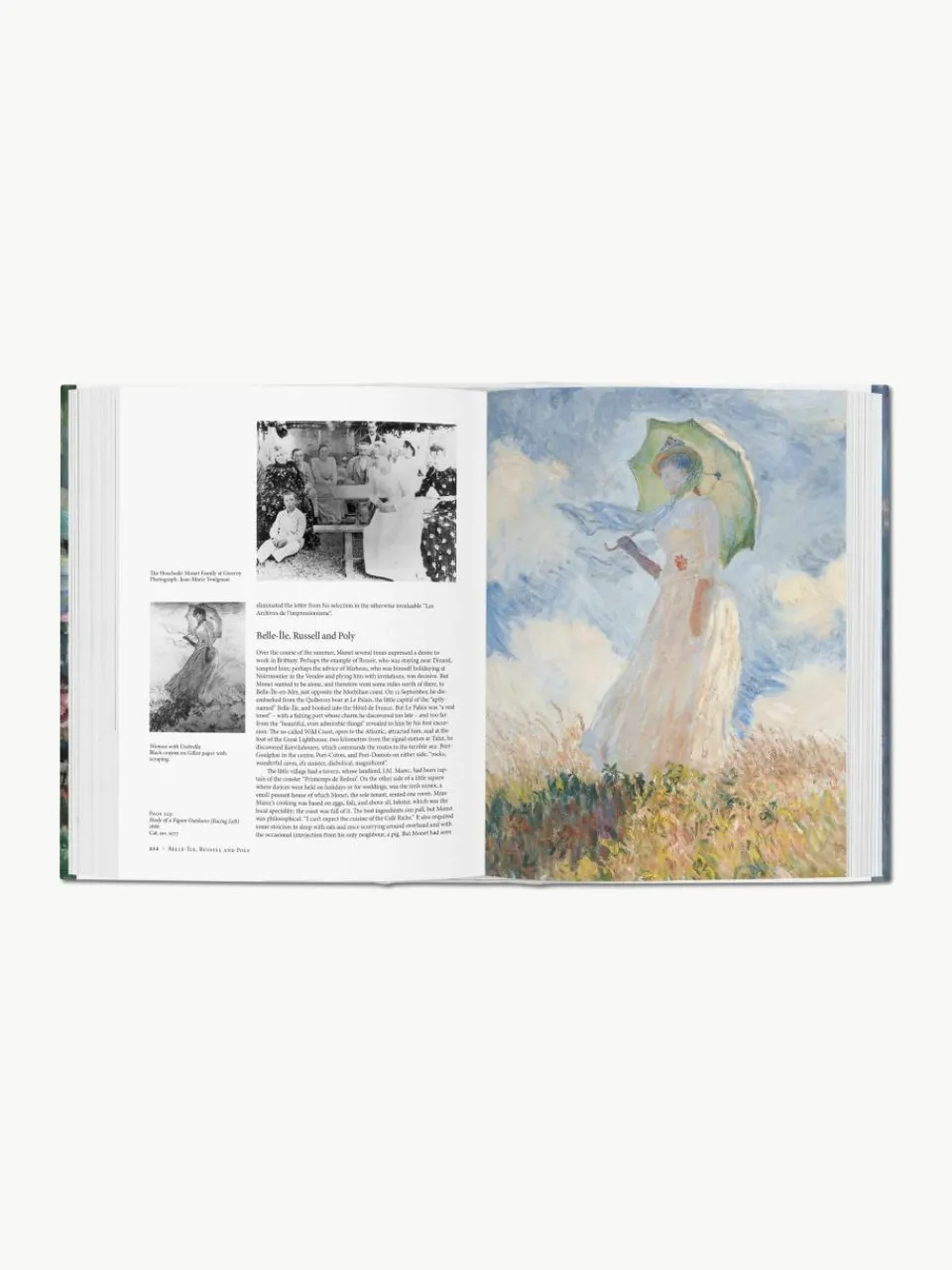 Kunstboek Monet. Het triumph van het impressionisme^Westwing Sale