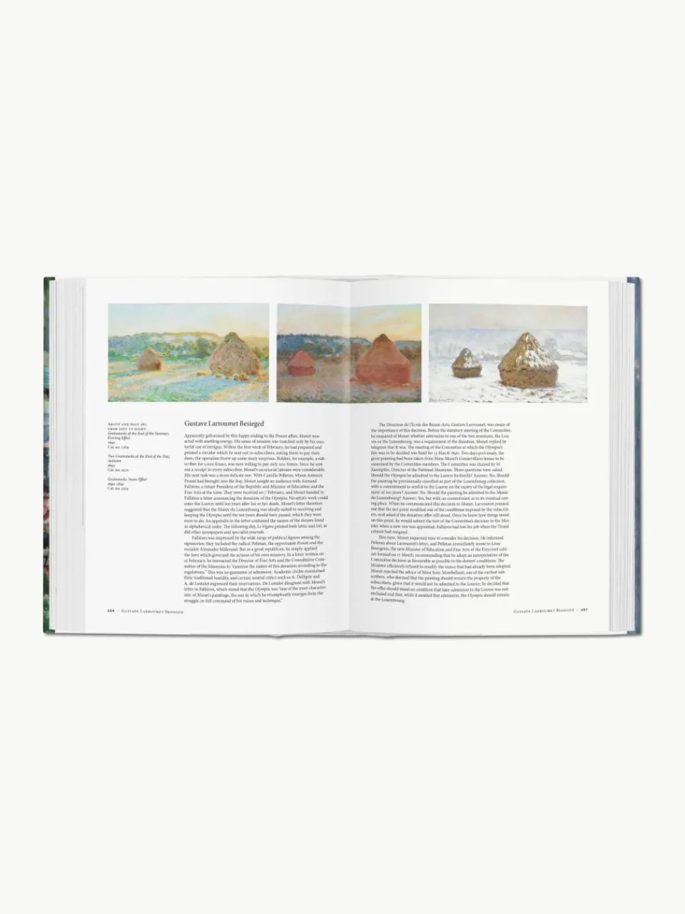 Kunstboek Monet. Het triumph van het impressionisme^Westwing Sale