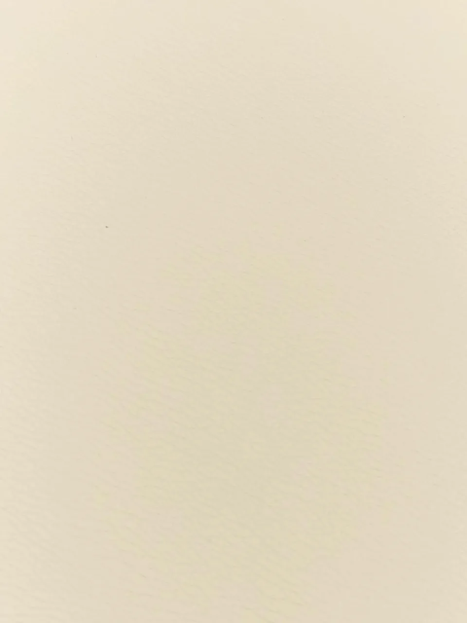 Kunstleren placemats Pik, 2 stuks^ASA Selection Clearance
