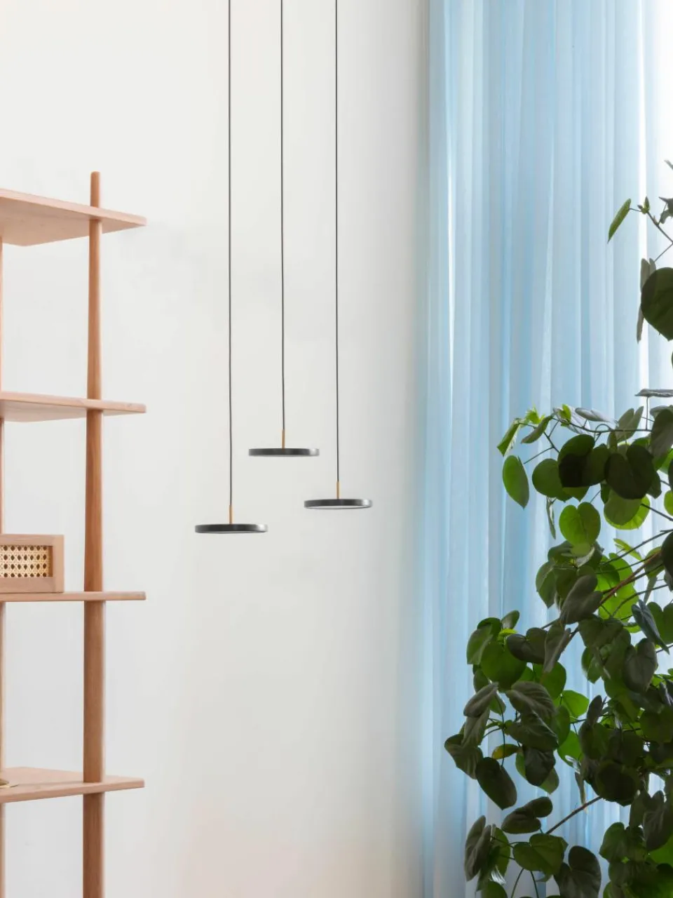 LED hanglamp Asteria, in verschillende formaten^UMAGE Clearance