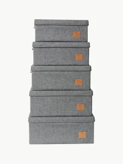 Opbergdozen Premium, set van 5^Store It New