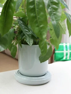 Plantenpot Churros^&k Amsterdam Clearance