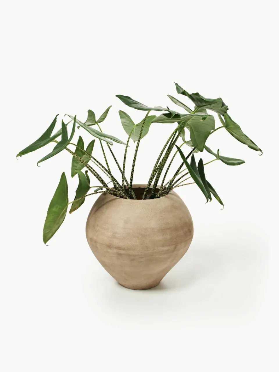 Plantenpot Dodu van cement^ferm LIVING New