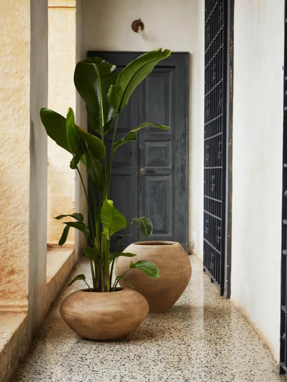 Plantenpot Dodu van cement^ferm LIVING New