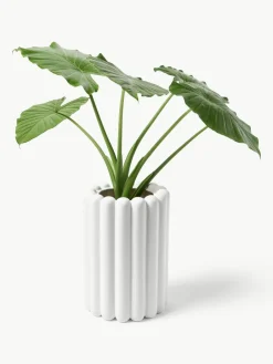 Plantenpot Mist, H 27 cm^DBKD Sale