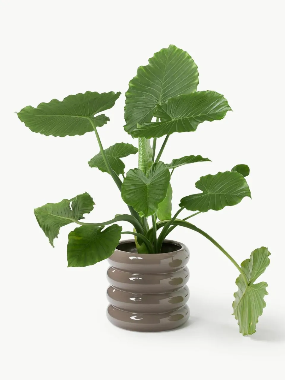 Plantenpot Rudi van keramiek, H 30 cm^Westwing Collection Hot