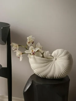 Plantenpot Shell in schelp vorm^ferm LIVING Online