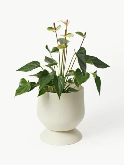 Plantenpotten Renya, set van 2^Westwing Collection Hot