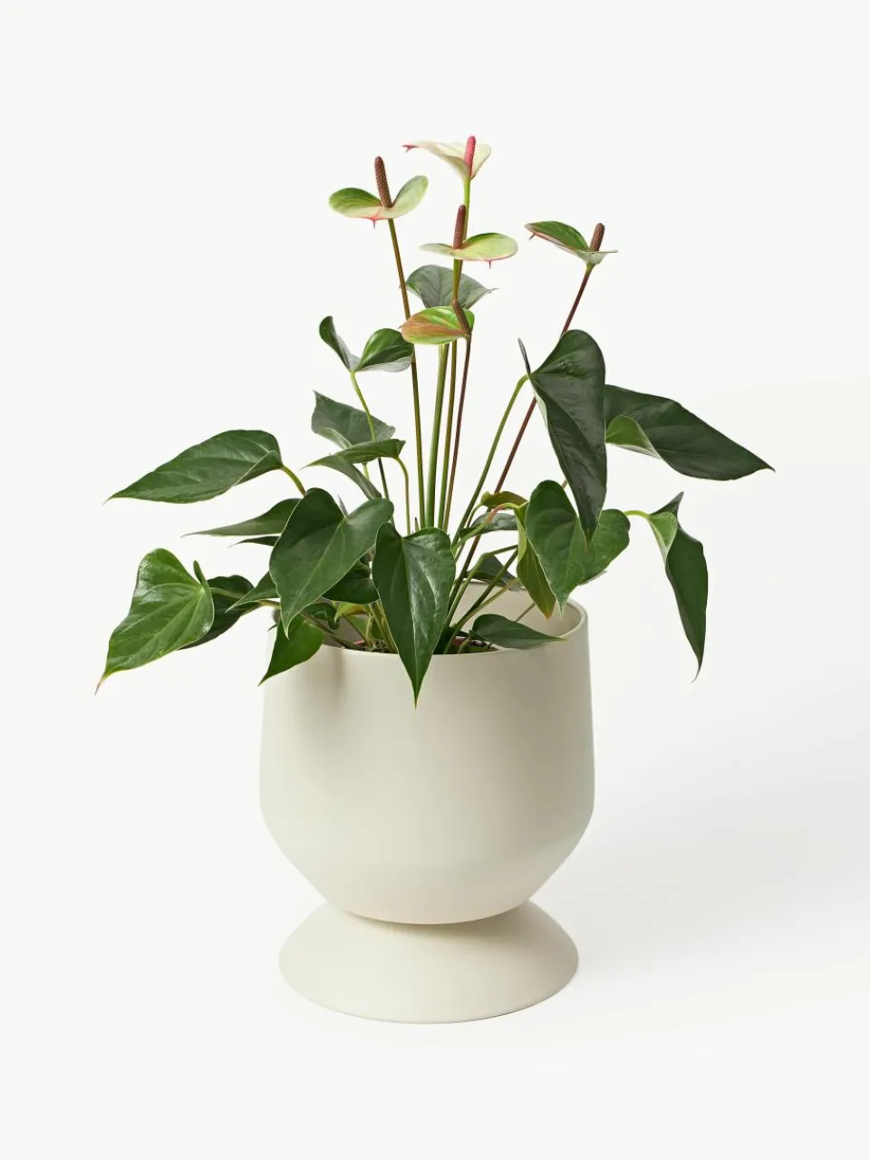 Plantenpotten Renya, set van 2^Westwing Collection Hot